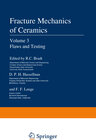 Buchcover Flaws and Testing
