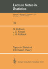 Buchcover Topics in Statistical Information Theory
