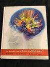 Buchcover An Introduction to Brain and Behavior