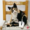 Buchcover Calico Cats 2013