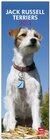 Buchcover Jack Russell Terriers 2013