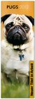 Buchcover Pugs 2013