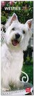 Buchcover West Highland White Terriers 2013