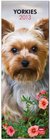 Buchcover Yorkshire Terriers 2013
