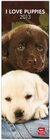 Buchcover Puppies 2013