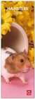 Buchcover Hamsters 2013