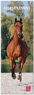 Buchcover Horse Lovers 2013