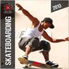 Buchcover Skateboarding 2013