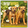 Buchcover Border Terriers 2016 - 18-Monatskalender mit freier DogDays-App