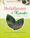 Buchcover Heilpflanzen & Kräuter