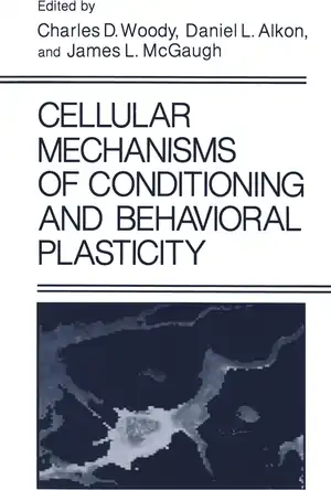 Buchcover ISBN 9781475796124