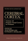 Buchcover Cerebral Cortex