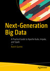 Buchcover Next-Generation Big Data