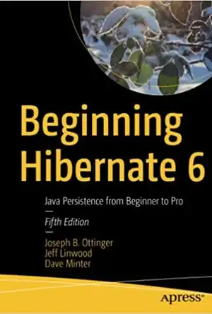 Buchcover ISBN 9781484284131