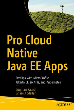 Buchcover ISBN 9781484288993