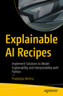 Buchcover Explainable AI Recipes