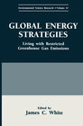 Buchcover Global Energy Strategies