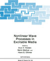 Buchcover Nonlinear Wave Processes in Excitable Media