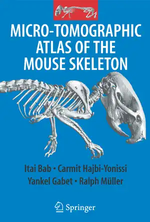 Buchcover ISBN 9781489978929