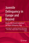 Buchcover Juvenile Delinquency in Europe and Beyond