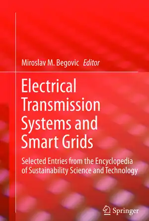 Buchcover ISBN 9781489992642