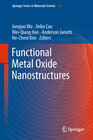 Buchcover Functional Metal Oxide Nanostructures