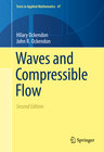 Buchcover Waves and Compressible Flow
