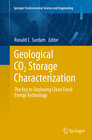 Buchcover Geological CO2 Storage Characterization