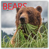 Buchcover Bears - Bären 2019 - 16-Monatskalender