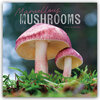 Buchcover Mushrooms – Pilze 2025 – Wand-Kalender