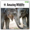 Buchcover WWF Amazing Wildlife – Faszinierende Tierwelt 2022