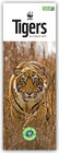Buchcover WWF – Tigers – Tiger 2022 – Slimline-Kalender