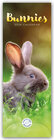 Buchcover Bunnies – Hasen – Kaninchen 2026 – Slimline-Kalender