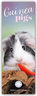 Buchcover Guniea Pigs – Meerschweinchen 2026 – Slimline-Kalender
