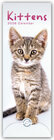 Buchcover Kittens – Kätzchen – Katzenjunge 2026 – Slimline-Kalender