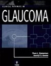 Buchcover Clinical Pathways in Glaucoma