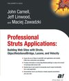 Buchcover Professional Struts Applications