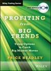 Buchcover Profiting From Big Trends