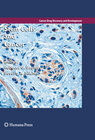 Buchcover Stem Cells and Cancer