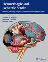 Buchcover Hemorrhagic and Ischemic Stroke