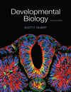 Buchcover Developmental Biology