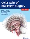 Buchcover Color Atlas of Brainstem Surgery