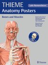 Buchcover THIEME Anatomy Posters Bones and Muscles, Latin Nomeclature