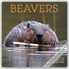 Buchcover Beavers 2016 - Biber - 16-Monatskalender