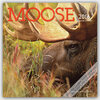 Buchcover Moose 2016 - Elche - 16-Monatskalender