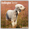 Buchcover Bedlington Terrier 2017