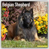 Buchcover Belgian Shepherd Dog - Belgischer Schäferhund 2017