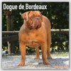 Buchcover Dogue de Bordeaux - Bordeauxdoggen 2017