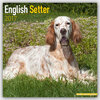 Buchcover English Setter 2017