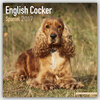 Buchcover English Cocker Spaniel - Englische Cockerspaniels 2017